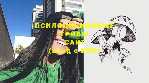 гашик Лихославль
